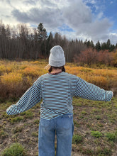 Load image into Gallery viewer, Blue Ridge stripe long sleeve